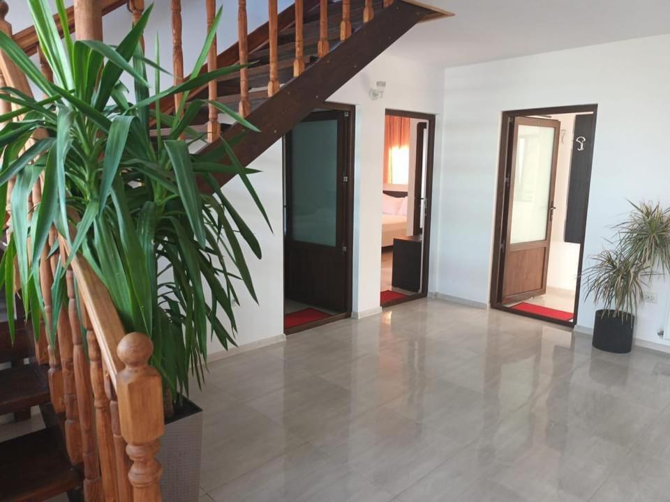 Vila Maranca Hotel Două Mai Kültér fotó